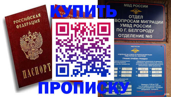 прописка иностранных граждан в Высоковске